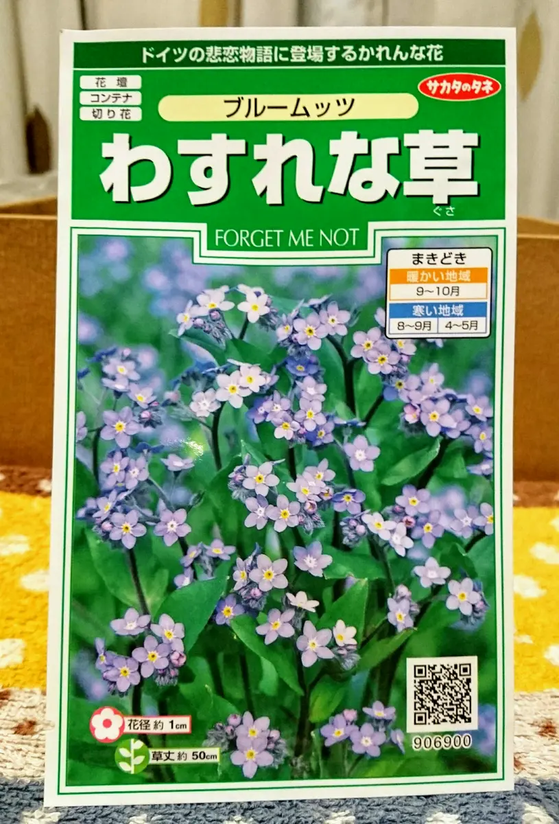 わすれな草種から2度目の春へ｜そだレポ（栽培レポート）by**しま