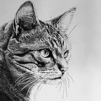 点描で猫を描きました。「ニャンコたち。」のアルバム-みんなの趣味の