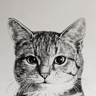 点描で猫を描きました。「ニャンコたち。」のアルバム-みんなの趣味の