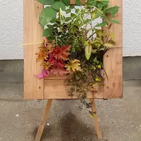 イーゼルに置いて高くしてもいいけど、「額縁プランター」の