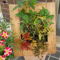 イーゼルに置いて高くしてもいいけど、「額縁プランター」の