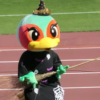 ファジ丸 サッカーファジアーノ岡山の「いろいろ」のアルバム
