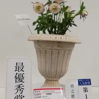 最優秀賞 レッドエンジェル「クリスマスローズの世界展 2019