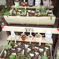 DIY🔨リメイクドラム缶シリーズ⁉️上段「DIY」のアルバム-みんなの