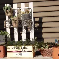 先日は妹の多肉棚設置をしましたが、昨「かわいい多肉植物」の