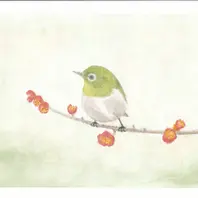 白梅とメジロ 水彩画「水彩画 色えんぴつ」のアルバム-みんなの趣味の