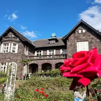 旧古河庭園 薔薇「旧古河庭園」のアルバム-みんなの趣味の園芸