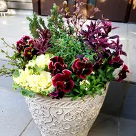 101パンジーワインレッド×3花かんざ「寄せ植えアルバム」の