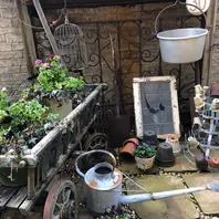 春のジャンクガーデン〔写真1枚目〕-天野麻里絵さんの日記｜みんなの