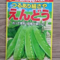 サヤエンドウのそだレポ（栽培レポート）｜植物図鑑｜みんなの