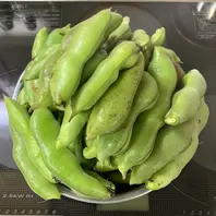ソラマメのそだレポ（栽培レポート）｜植物図鑑｜みんなの趣味の園芸