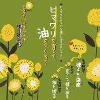 ヒマワリのそだレポ（栽培レポート）｜植物図鑑｜みんなの趣味の園芸