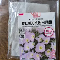 月見草（マツヨイグサの仲間）の種類（原種、品種）｜植物図鑑