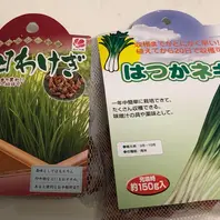 ワケギ、アサツキとは｜育て方がわかる植物図鑑｜みんなの趣味の