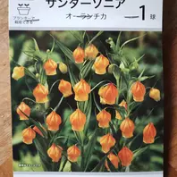 サンダーソニアの種類（原種、品種）｜植物図鑑｜みんなの趣味の園芸