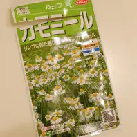 ジャーマンカモミールの種類（原種、品種）｜植物図鑑｜みんなの趣味の
