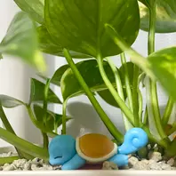 ポトスのそだレポ（栽培レポート）｜植物図鑑｜みんなの趣味の園芸