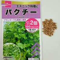 シャンツァイ（パクチー）のそだレポ（栽培レポート）｜植物図鑑