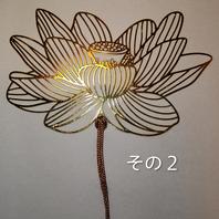 ハスの育て方・栽培方法｜植物図鑑｜みんなの趣味の園芸（NHK出版）