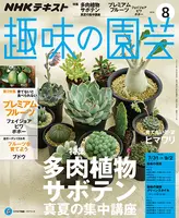 多肉植物＆サボテン真夏の集中講座/プレミアムフルーツ/ヒマワリ『趣味