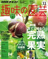 img_cache_tn_engei_000678_2_15