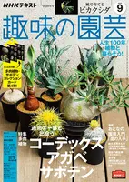 【SALE／55%OFF】 img_cache_tn_engei_001508_2_15 園芸、ガーデニング