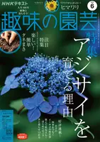 趣味の園芸』2022年6月号の紹介～アジサイを育てる理由／楽しい！簡単