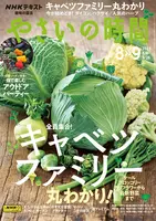 NHK 趣味の園芸 やさいの時間のバックナンバー | 雑誌/電子書籍