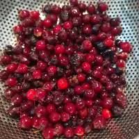 ジューンベリーの種類（原種、品種）｜植物図鑑｜みんなの趣味の園芸