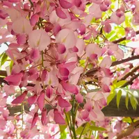 花台⚒DIY〜出来上がりました♪|園芸日記bymocomaru|みんなの 花台⚒DIY〜出来上がりました♪|園芸日記bymocomaru|みんなの