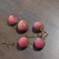 ライチの写真｜植物図鑑｜みんなの趣味の園芸