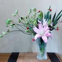 ヒオウギとは｜育て方がわかる植物図鑑｜みんなの趣味の園芸