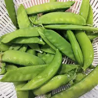 さやえんどう｜西友ネットスーパー｜楽天全国スーパー
