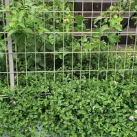 【中古】 江尻光一の洋ラン教室/国際地学協会/江尻光一 中古】 江尻光一の洋ラン教室/国際地学協会/江尻光一 NHK出版