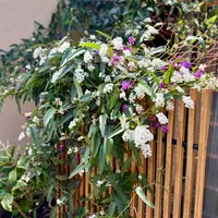 アカシアブルーブッシュを鉢植えで育てています。真夏頃までは アカシアブルーブッシュを鉢植えで育てています。真夏頃までは