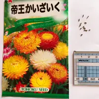 帝王かいざく Amazon | 株式会社トーホク 姫かいざいく 00234 | 野菜