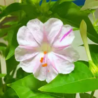 img_cache_r_32306_c_1720282323