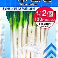 ネギ苗ぼうずしらず　200本セット Amazon.co.jp: 無農薬 坊主知らず ネギ苗 20本 野菜 節約家庭
