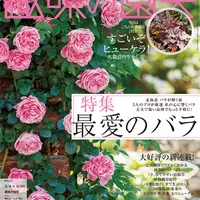 アローカリア(シマナンヨウスギ)とは|育て方がわかる植物図鑑 アローカリア(シマナンヨウスギ)とは|育て方がわかる植物図鑑