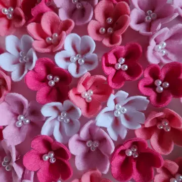 ヒペリカムの花に似たこのお花名前のわかる方教えて下さい